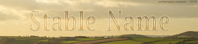 Dark-Bay-Banner.png