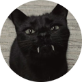 cat-vamp.png
