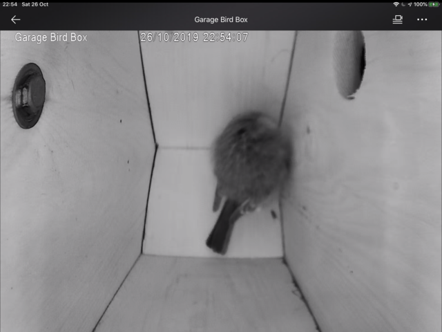 E02C1C13-F731-4E70-82CB-7570485AB00C