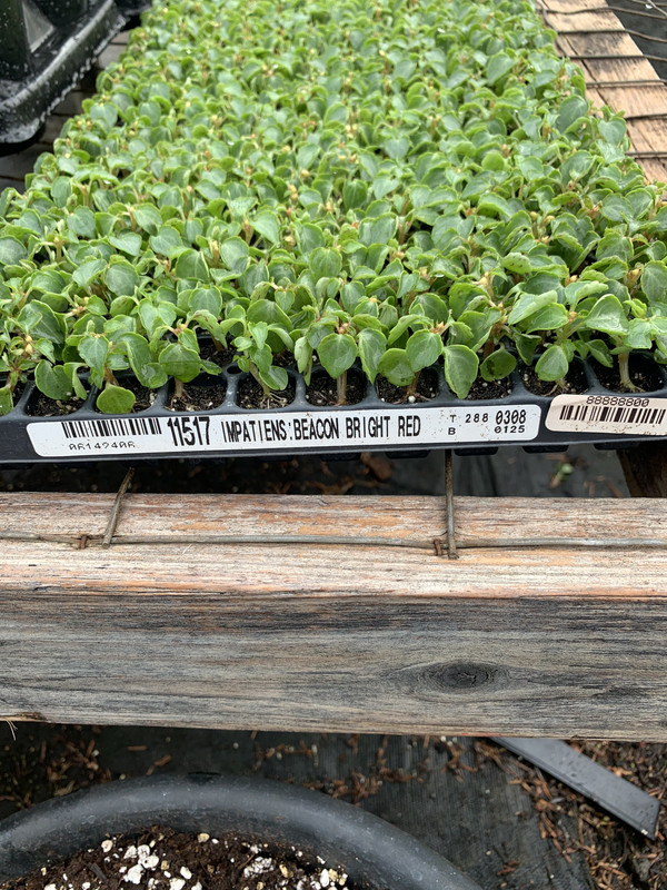 4BE6C73D-D340-4C77-A9FD-C2B6224C23E3