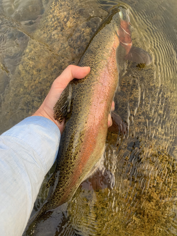 A7B686D6-881D-4885-BDEA-B0812063F901