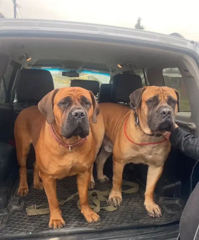 dFvphPkS80vI4Ug0hiIc5U34utznTbJ8xPQwrxa17simyHz7HIdHEzXFlqcvSLtFIAN9-d86qiiMArBMcWwyhwJv