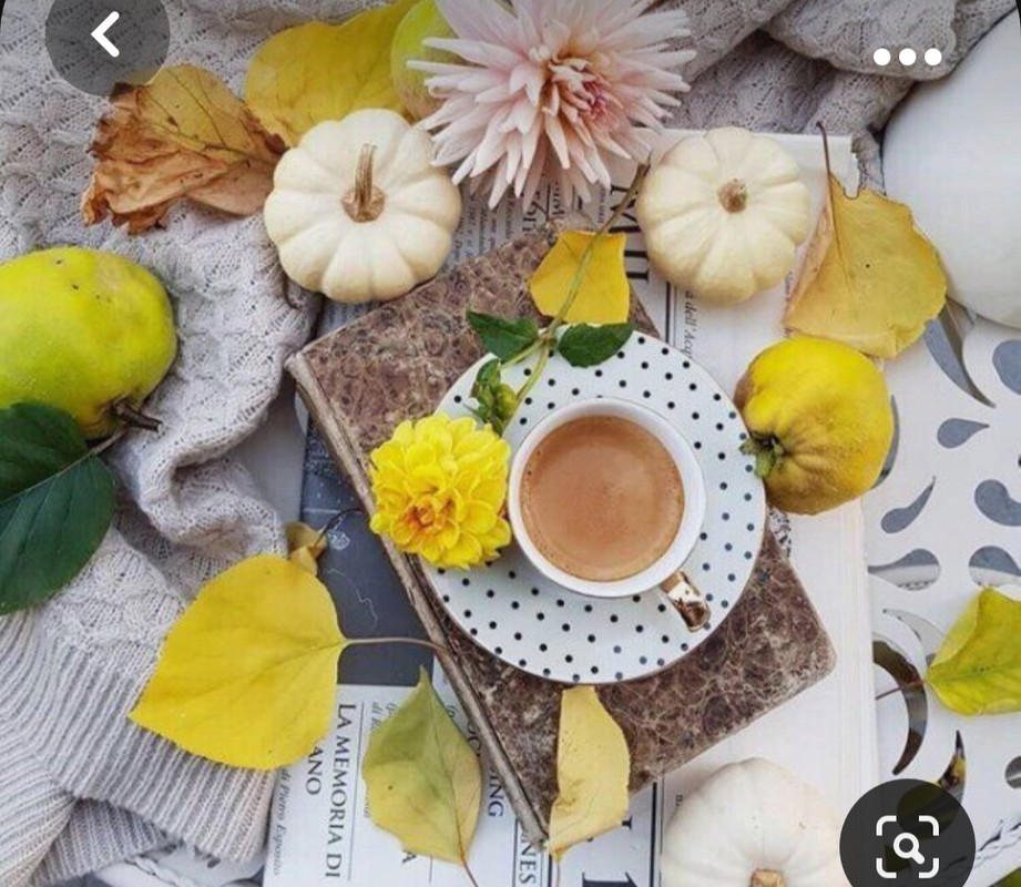 Screenshot_20231031_170807_Pinterest