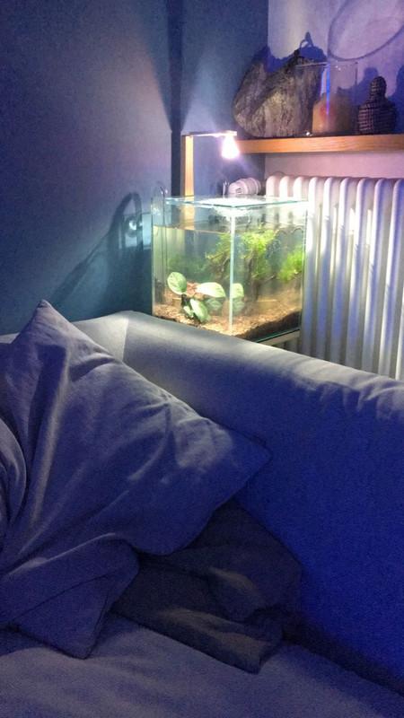 677DFB8A-AB28-4FBF-96F7-7EE18E18E556