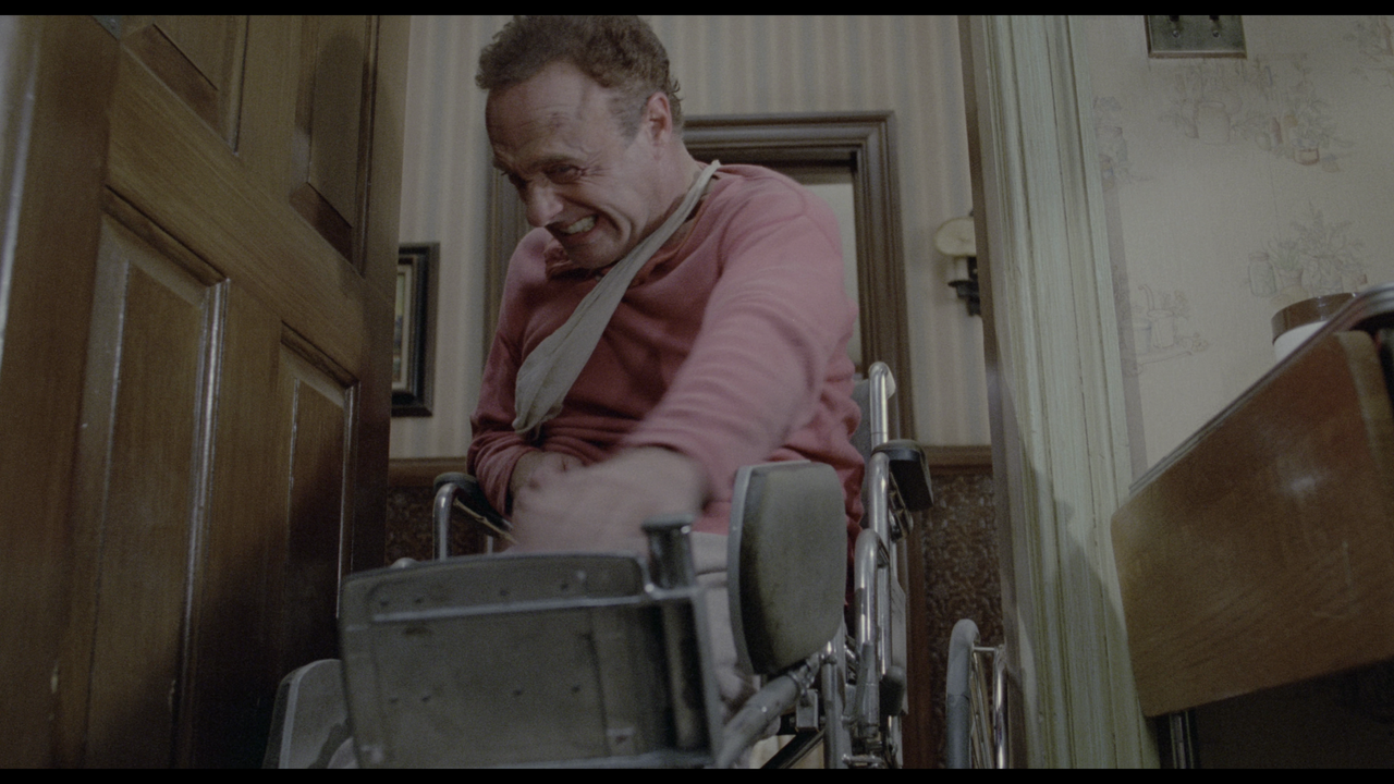 vlcsnap-2023-02-23-20h30m45s306