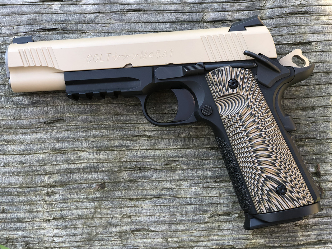 9AAF7C51-B393-4532-A2FD-194B7D5C9F95