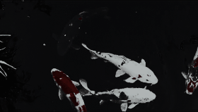 08e1b18284521ef0feb2650e3fd7654c-ezgif-com-resize-1.gif