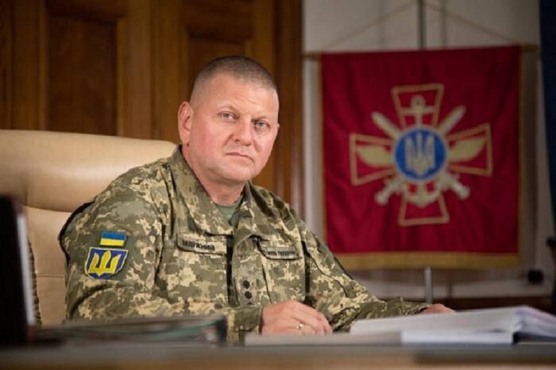 Zaluzhnyj2