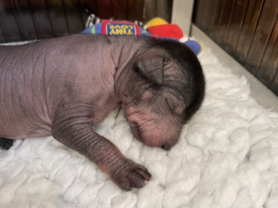 41844921-C3DC-4F13-BC68-8B884391CC0C