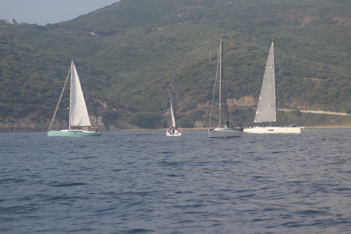 IMG-3944