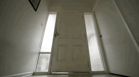 giphy