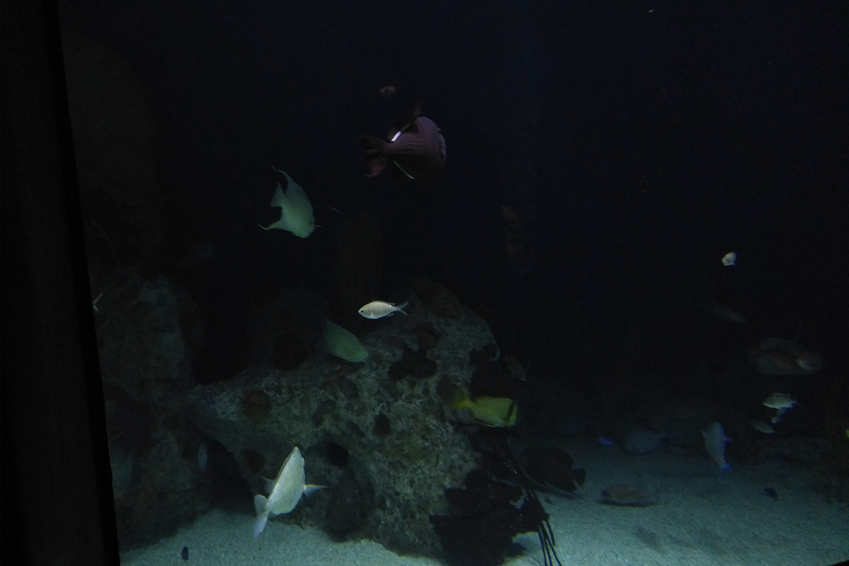 IMG_20180709_1701158