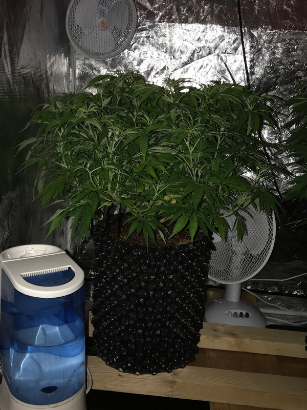 4749C0B2-C6BC-4C86-8AF9-0860EA7E469D