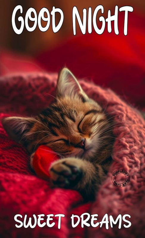 4272421021b296ea953af6e9aa06a250