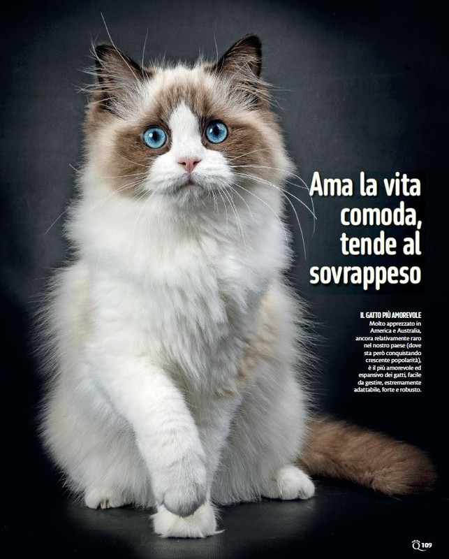 QuattroZampe Giu 2024 (10)