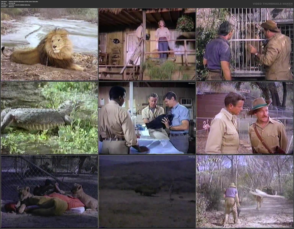 Daktari S01E04 Adventure of the Lions Cubs.mkv