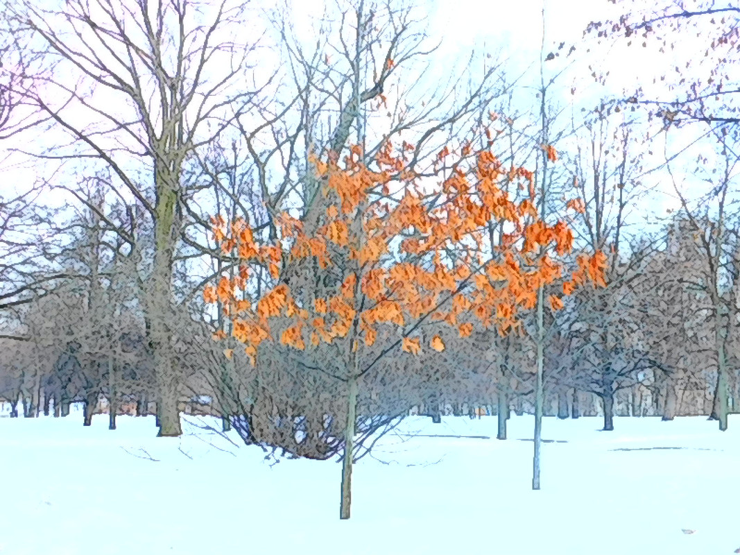 Февральское Коломенское 2023 057