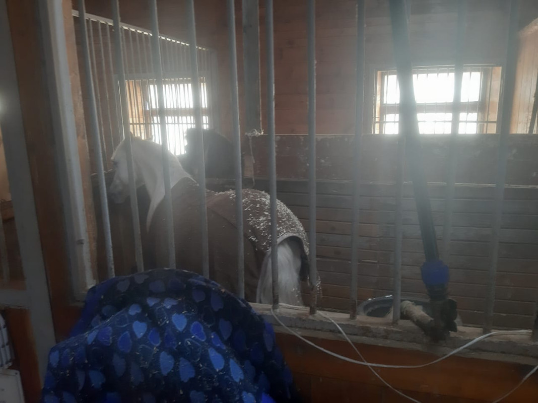 WhatsApp Image 2021-03-05 at 12.14.52 (1)