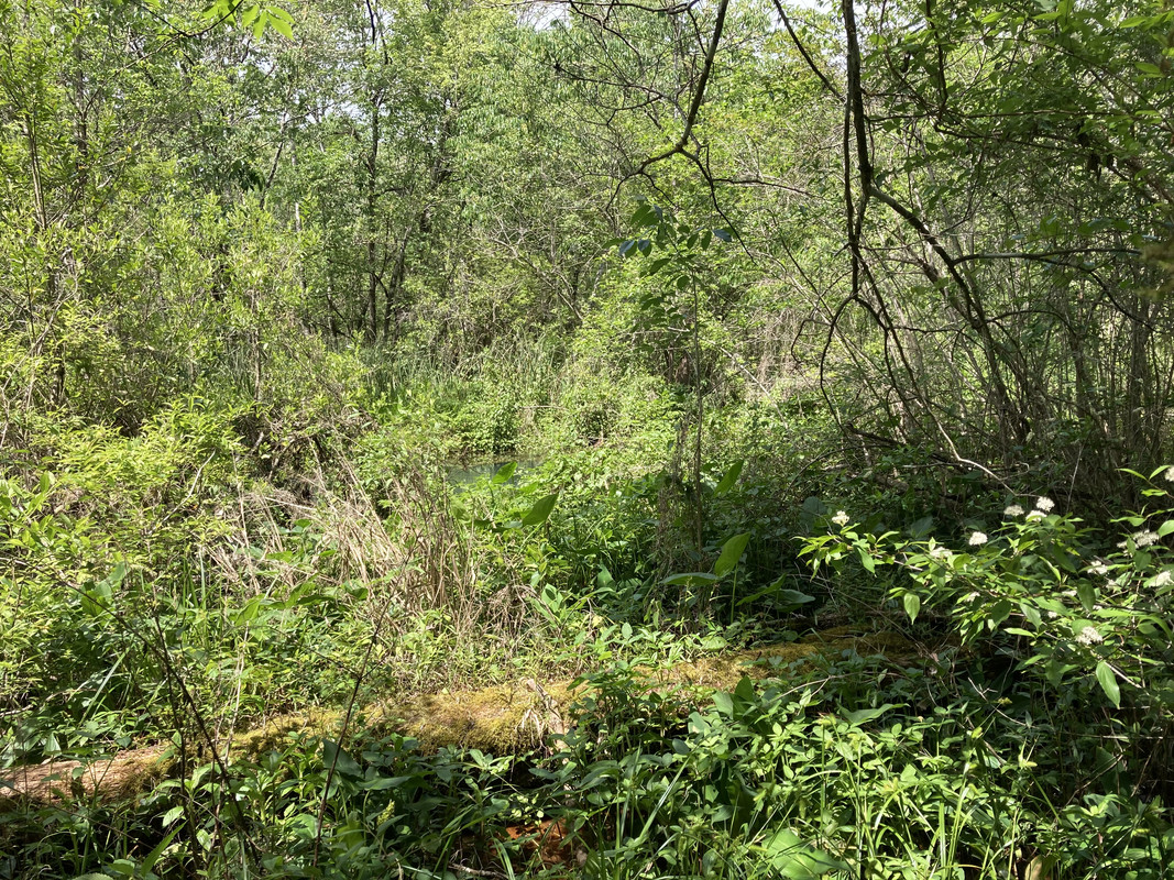 3301FE16-04DC-4D8C-BB76-0BABE0708BB7