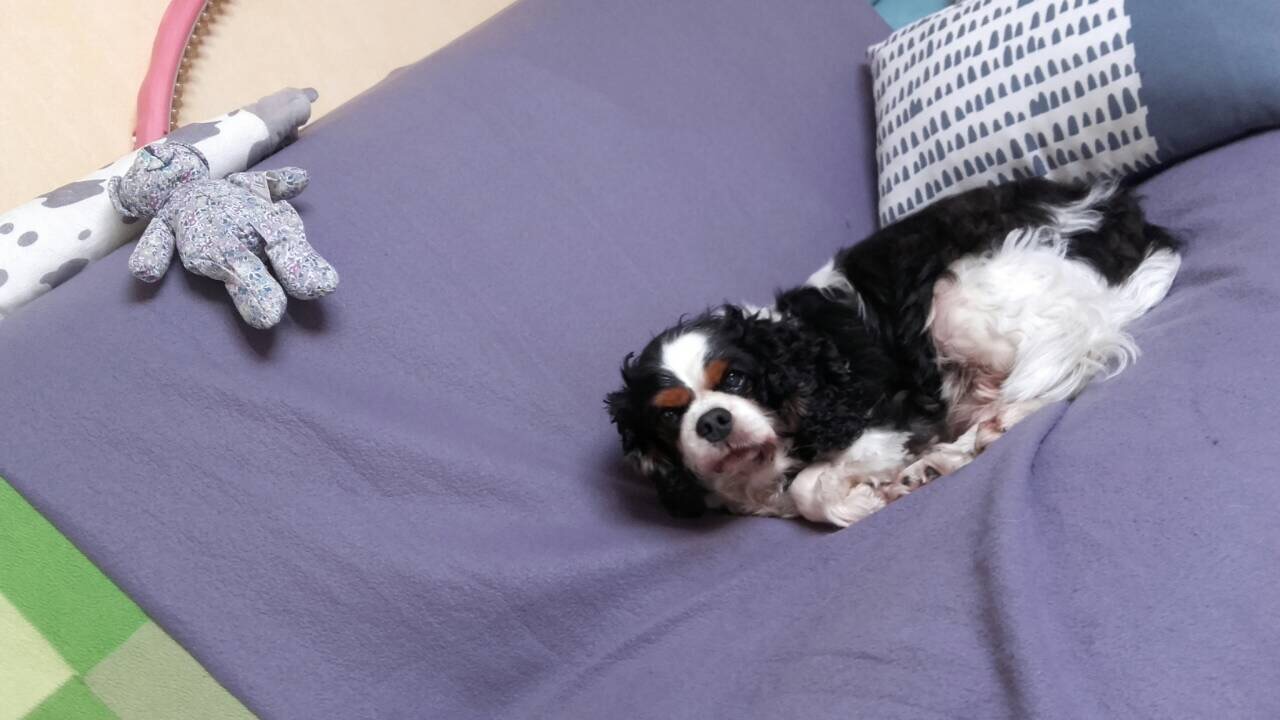 B1EE66AF-F586-4DB9-8177-117B1A4C5CE3