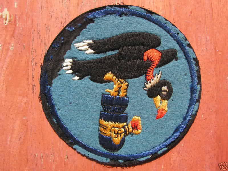 Parche de la Fuerza Aérea de los EE.UU.