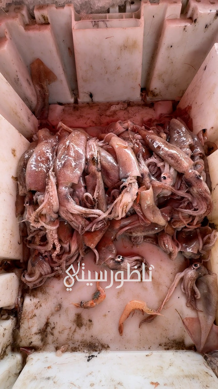 التقطيع .00_00_47_25.Still010