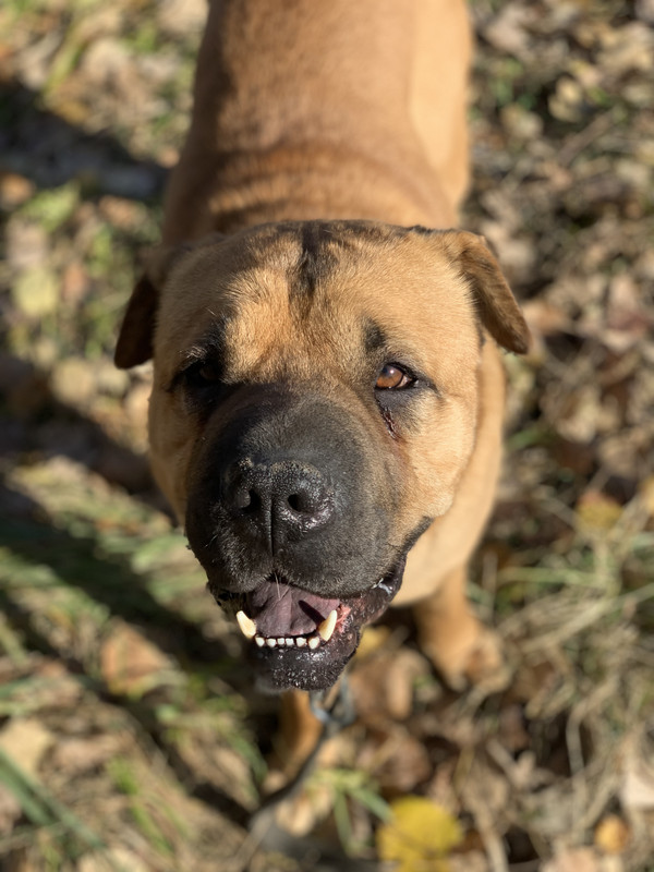 0CB08F7B-966F-4FFD-B242-AA78AC6F5180