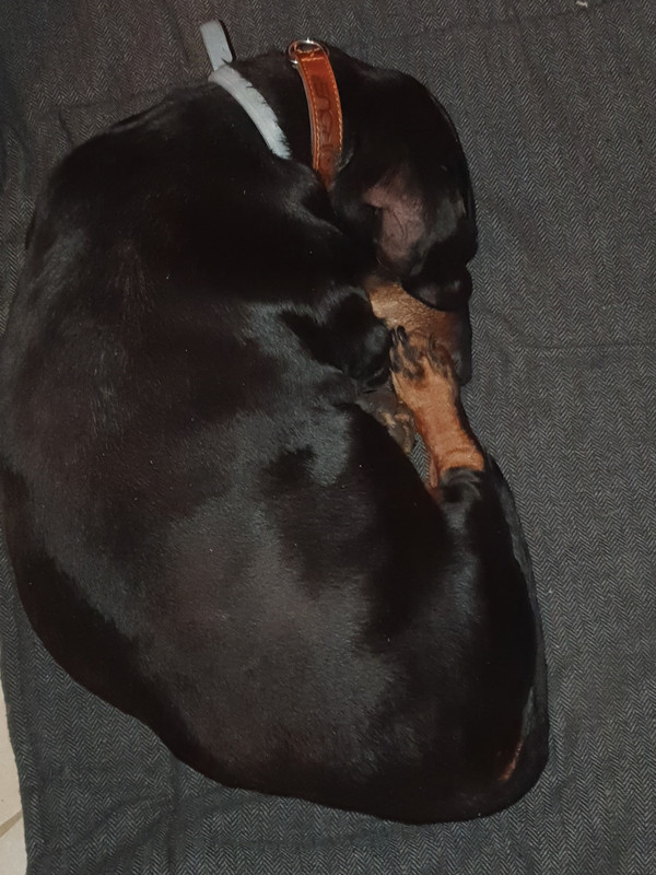 [Image: 20220117-222133.jpg]