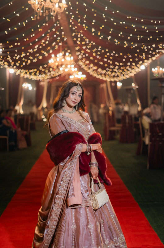 Elegant Stories