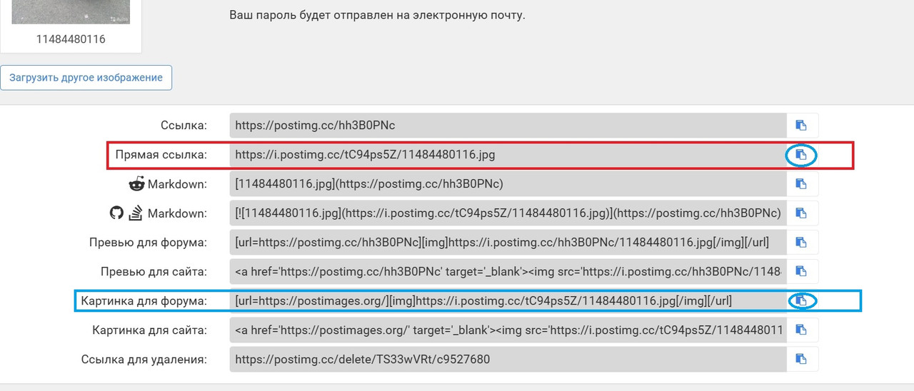 Скриншот 10-05-2023 225415