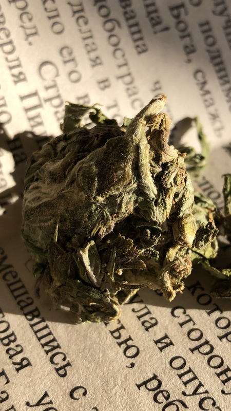 8E662273-AA4F-48A9-942B-15A6EC16B547