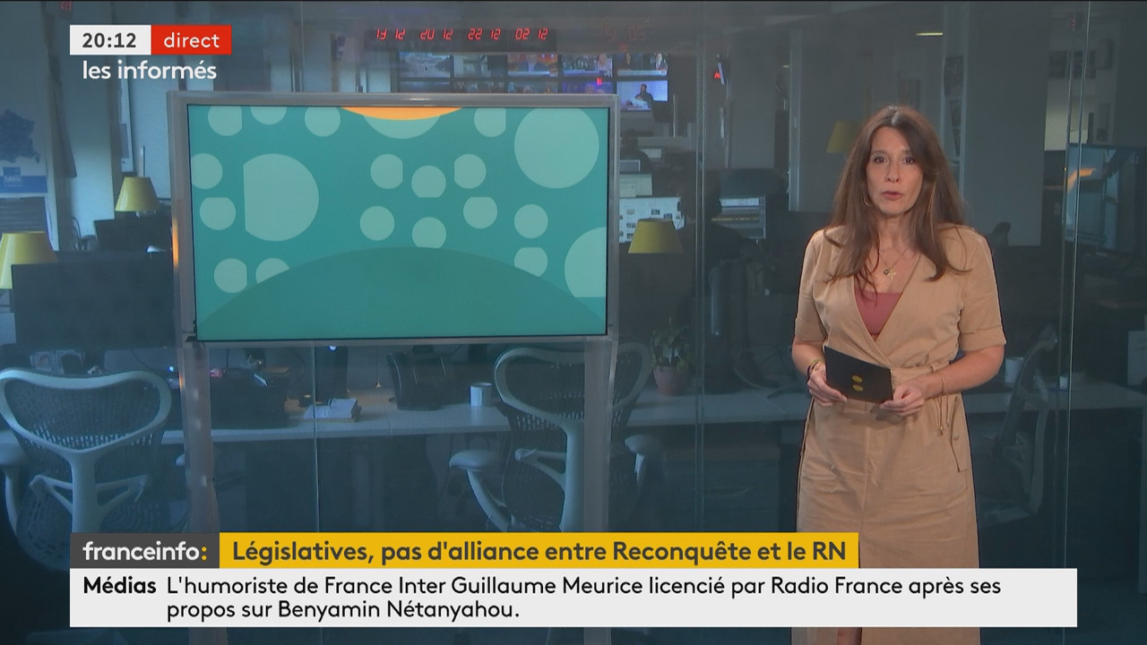 Les informés du soir (Franceinfo)_2024_06_11_19_03_88.ts_snapshot_09.49.929