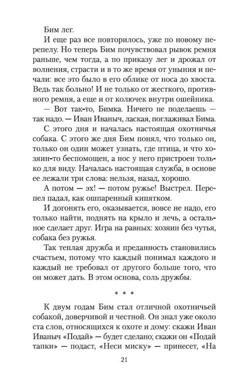 2-page-0020