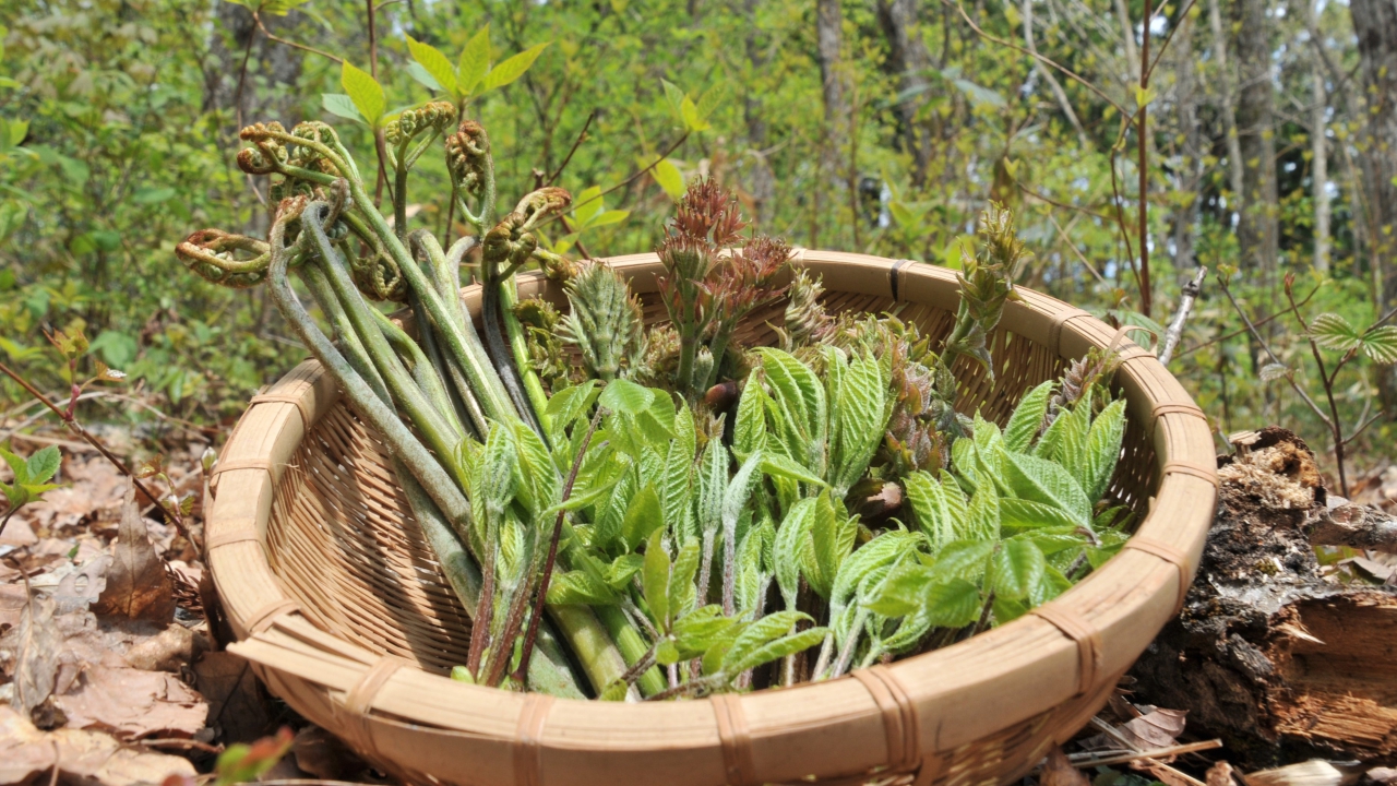 602f1d53-35c8-4ccf-abdf-379364400011