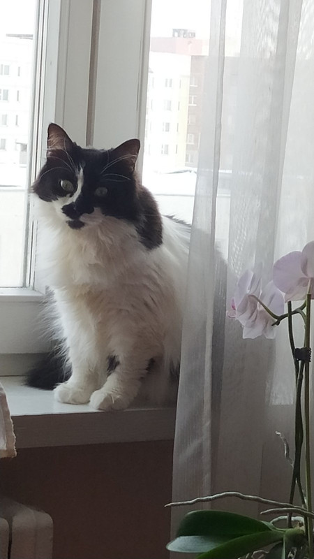 12E6F77A-5181-487D-95E2-061D0889F434