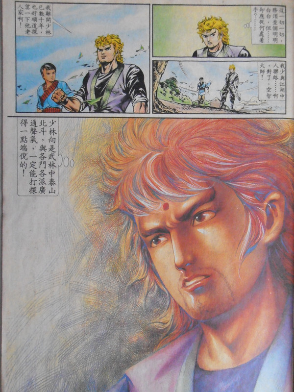 如来神掌：少壮长拳