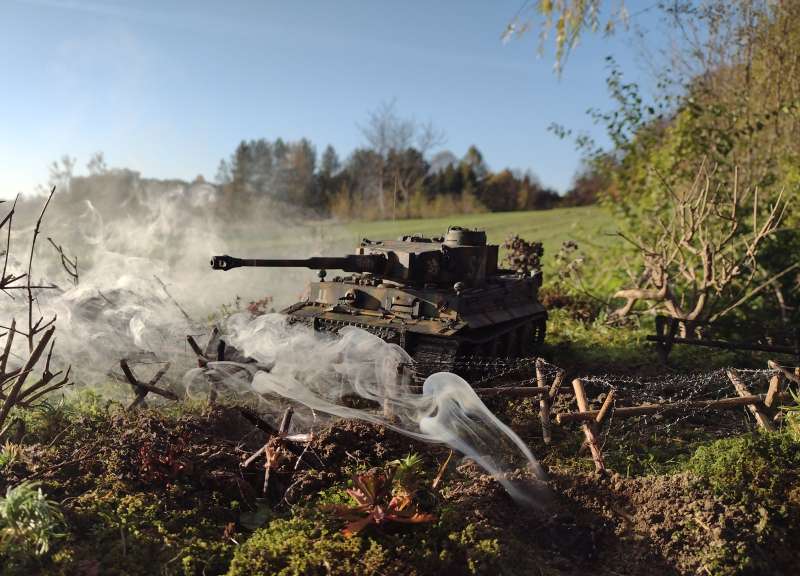 IMG_20241024_155019398_BURST001