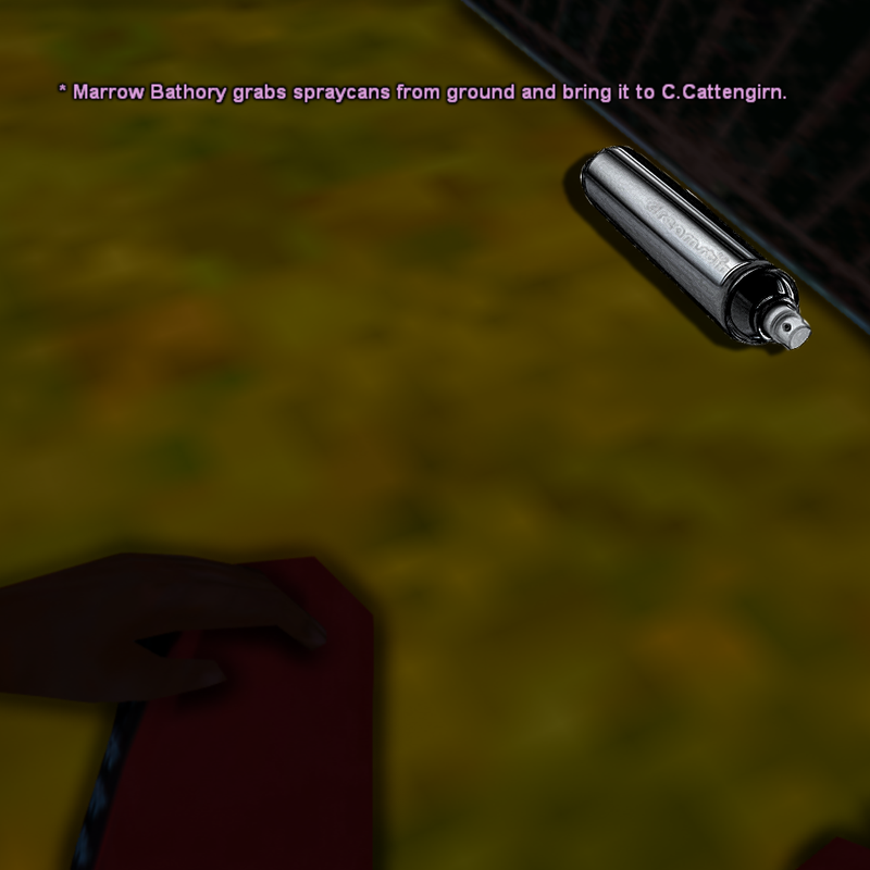 5.png