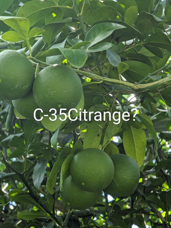 PXL_20230817_183912679~2