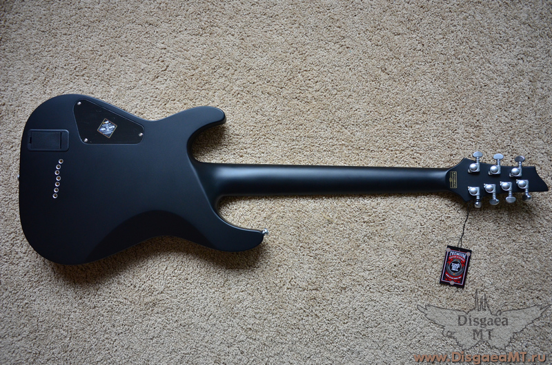 Schecter_Damien_Platinum-7_1-SBK_023