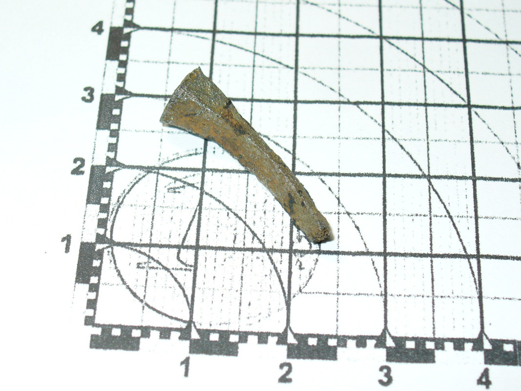 P1110223