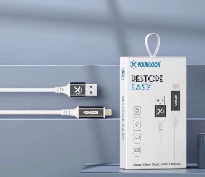 Apple Restore Easy Cable