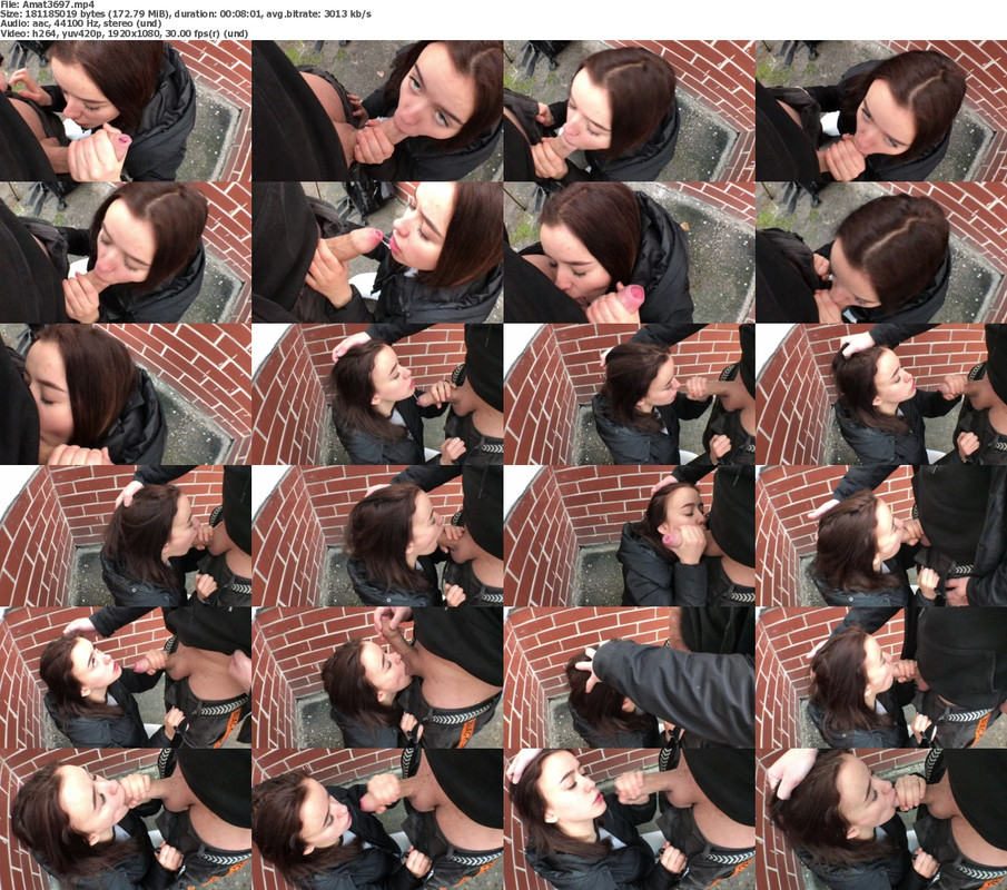 22082024131300screenshot