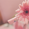 Stock-Icons-New-214