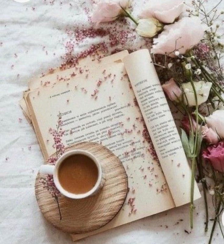 Screenshot_20230211_012258_Chrome