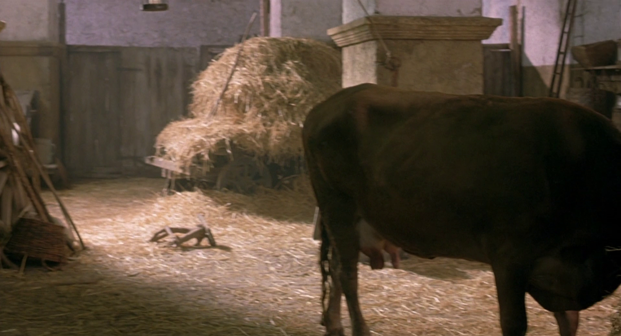 vlcsnap-2024-02-28-12h17m51s881