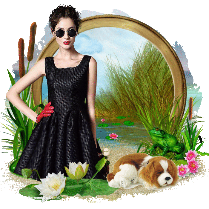 oie-overlay-2