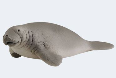 schleich manatee