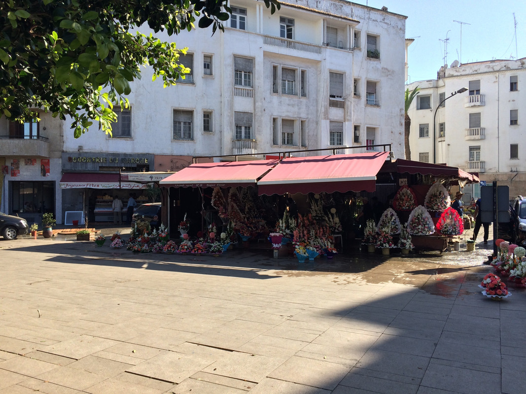 Que visitar en Rabat, Ciudad-Marruecos (86)