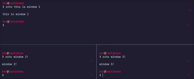 Window tiling in the kitty terminal emulator.